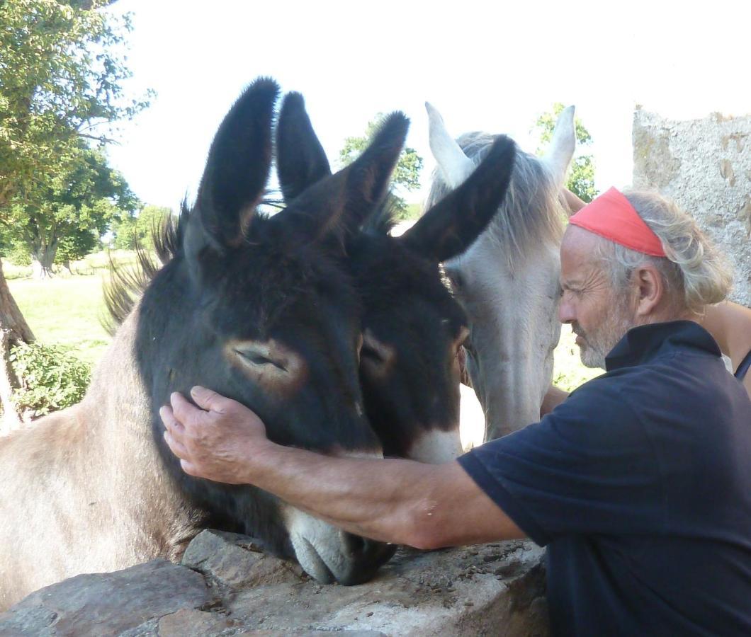 La Ferme De Pomereix Le Dorat Εξωτερικό φωτογραφία
